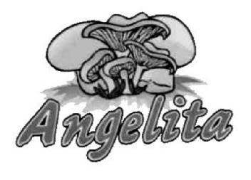 Imagen de ANGELITA