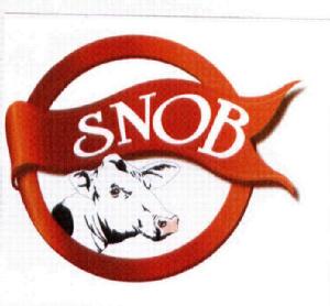 Imagen de SNOB