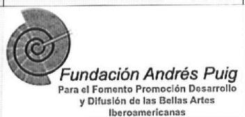 Imagen de FUNDACION ANDRES PUIG PARA EL FOMENTO PROMOCION DESARROLLO Y DIFUSION DE LAS BELLAS ARTES IBEROAMERICANAS