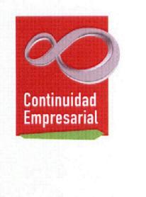 Imagen de CONTINUIDAD EMPRESARIAL