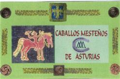Imagen de CABALLOS MESTEÑOS DE ASTURIAS