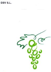 Imagen de DSV S.L
