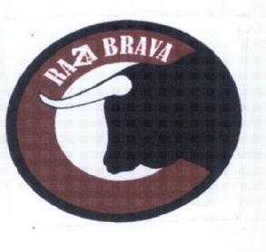 Imagen de RAZA BRAVA