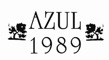 Imagen de AZUL 1989