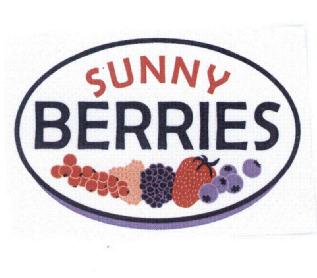 Imagen de SUNNY BERRIES
