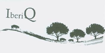 Imagen de IBERIQ