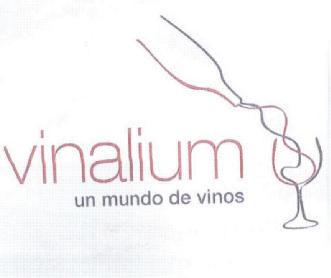 Imagen de VINALIUM UN MUNDO DE VINOS