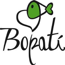 Imagen de BOPATI
