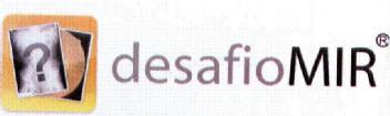Imagen de DESAFIO MIR
