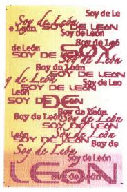 Imagen de SOY DE LEON