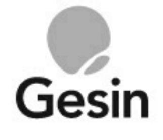 Imagen de GESIN