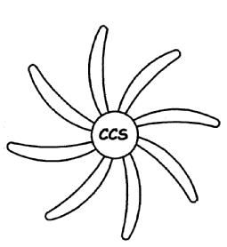 Imagen de CCS