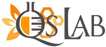 Imagen de QSLAB