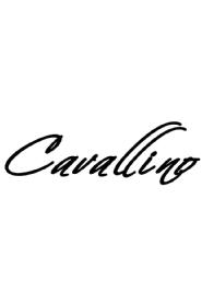 Imagen de CAVALLINO