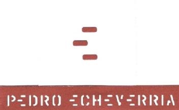 Imagen de E PEDRO ECHEVERRIA