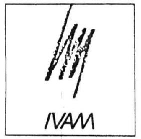 Imagen de IVAM