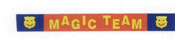 Imagen de MAGIC TEAM
