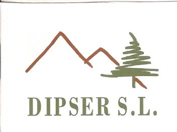 Imagen de DIPSER S.L