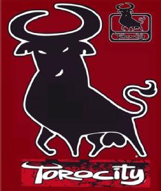 Imagen de TOROCITY