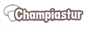 Imagen de CHAMPIASTUR