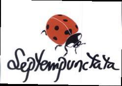 Imagen de SEPTEMPUNCTATA