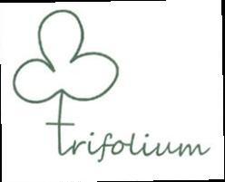 Imagen de TRIFOLIUM