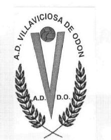 Imagen de A.D. VILLAVICIOSA DE ODON A.D.D.O