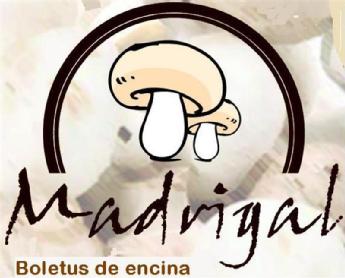Imagen de MADRIGAL BOLETUS DE ENCINA