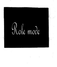 Imagen de ROLE MODE