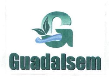 Imagen de G GUADALSEM