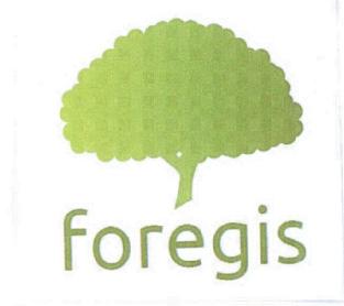 Imagen de FOREGIS