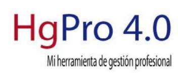 Imagen de HG PRO 4.0 MI HERRAMIENTA DE GESTION PROFESIONAL