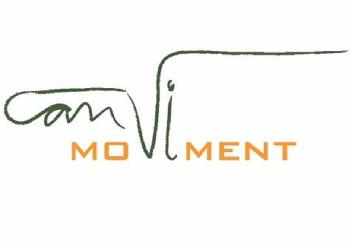Imagen de CANVI I MOVIMENT