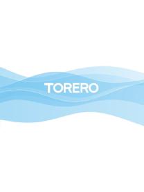 Imagen de TORERO
