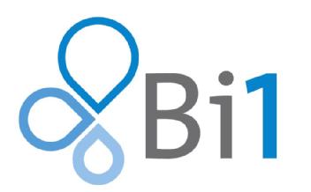 Imagen de BI1