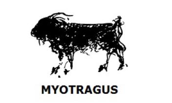 Imagen de MYOTRAGUS