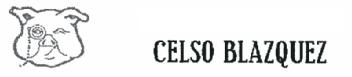 Imagen de CELSO BLAZQUEZ