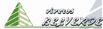 Imagen de VIVEROS BELVERDE