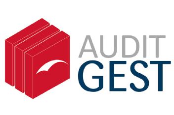 Imagen de AUDITGEST