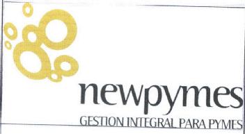 Imagen de NEWPYMES GESTION INTEGRAL PARA PYMES