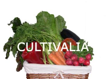 Imagen de CULTIVALIA