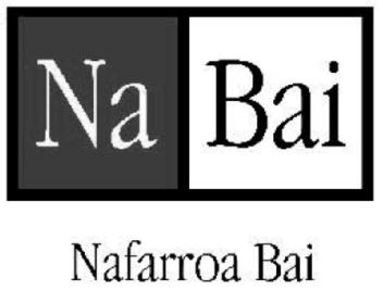 Imagen de NA BAI NAFARROA BAI