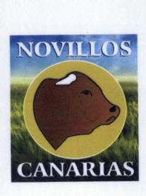 Imagen de NOVILLOS CANARIAS