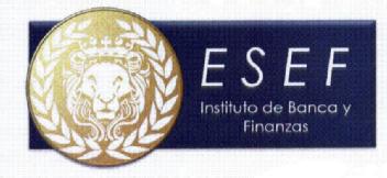 Imagen de ESEF INSTITUTO DE BANCA Y FINANZAS