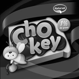 Imagen de NATURVAL CHO 1% DE GRASA KEY