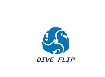 Imagen de DIVE FLIP