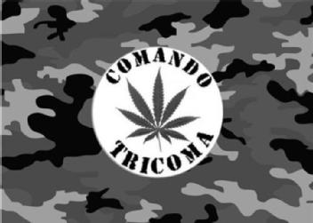 Imagen de COMANDO TRICOMA