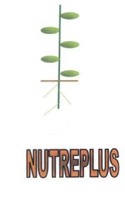 Imagen de NUTREPLUS