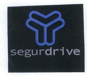 Imagen de SEGURDRIVE