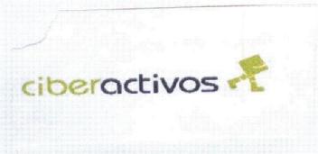 Imagen de CIBERACTIVOS